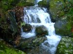 DSCN4558.JPG