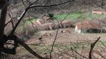 ds_DSCF1258.jpg