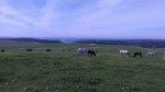 La Bre&#241;a.jpg