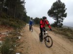 IMG-20130303-WA001.jpg