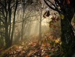 sized_Oto&#241;o, &#250;ltimo acto.JPG