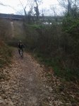 2013-03-10 11.19.58.jpg