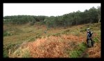 IMG_0029.JPG