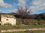 CIMG4739 (Copiar).JPG