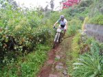 DSC00446.JPG