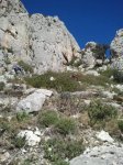 2013-03-09 11.46.19.jpg