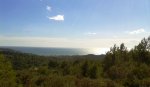 2013-03-10 15.11.37.jpg