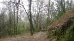 IMGP6850 (Copiar).JPG