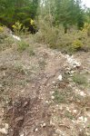 S0490643.JPG