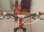 2013-03-11 11.52.03.jpg