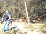 DSC03252.JPG