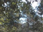 DSC03315.JPG