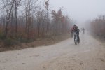 DSC00489.jpg