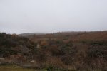 DSC00510.jpg