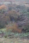 DSC00511.jpg