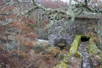 DSC00530.jpg