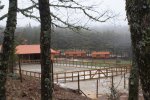 DSC00572.jpg