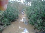 maraton huelva.jpg