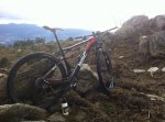 BMC RISCA 3.jpg