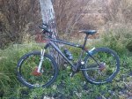 DSC_0311 small.jpg