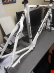 pinarello0005_resize.jpg