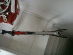 WP_000618.jpg