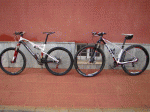 DSC05676.GIF