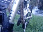 DSC07739.JPG