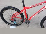ORANGE CRUSH venta 3.jpg
