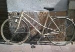 WP_000570.jpg