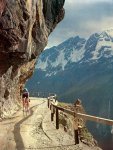 Gavia.4.Best_[1].jpg