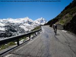 DSC01134 - Passo Gavia.JPG