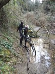 DSC03405.JPG