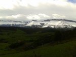 2013-03-16 12.24.35.jpg