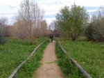 2013-03-16 11.50.33.jpg