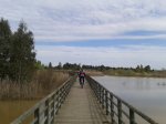 2013-03-16 11.51.10.jpg