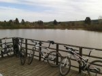 2013-03-16 11.53.29.jpg