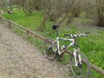 2013-03-16 11.59.33.jpg