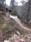 IMG_2460foxxx.JPG