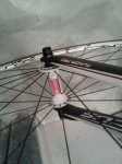 IMG-20130316-WA0021.jpg