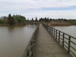 2013-03-16 11.55.21.jpg