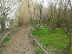 2013-03-16 11.59.12.jpg