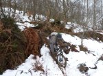 P1160713 (Copiar).JPG