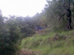 Imagen007 (Small).jpg