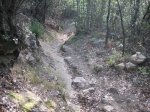 IMG_1141.JPG