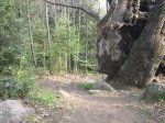 IMG_1148.JPG