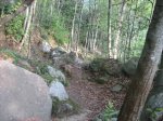 IMG_1153.JPG
