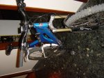 DSC00238.jpg