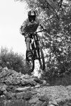oriol-1.jpg
