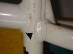 DSC00348.JPG